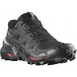 Salomon - Speedcross 6 GORE-TEX - Trailrunningschuhe Gr 40 grau