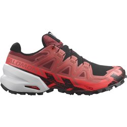 Salomon - Spikecross 6 GTX - Trailrunningschuhe Gr 36 2/3 bunt