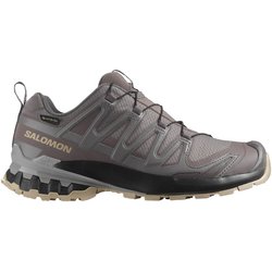 Salomon - Women's XA Pro 3D V9 GTX - Multisportschuhe Gr 36 grau