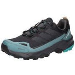 adidas Terrex Skychaser AX5 GTX Herren schwarz
