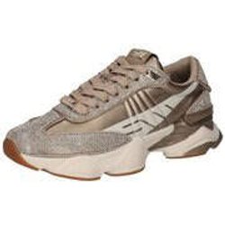 Steve Madden Sneaker Setback Damen gold