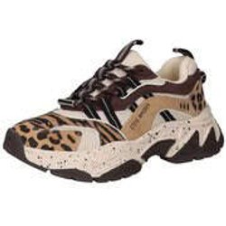 Steve Madden Sneaker Damen beige
