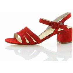 Paul Green 022 rot 3,5