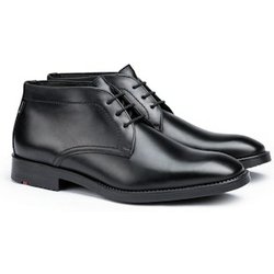 Lloyd VERIA 8