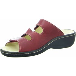 Longo rot 40