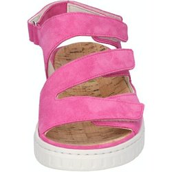 - H-Willow - 295-97-0005 4,5