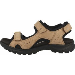 - Onrodas Braun - 17-011-2-29-01 36