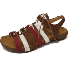 El Naturalista braun 37