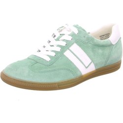 Paul Green 5450 257 - 237700129 4,5