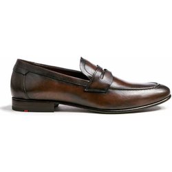 Lloyd braun 8,5