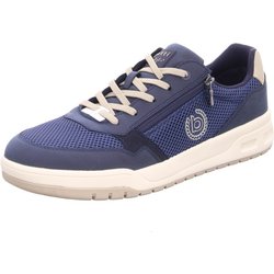 - Celeris - 137-80-7572 41