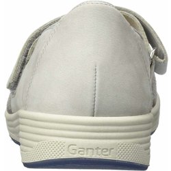 Ganter grau 4