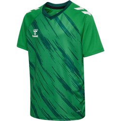 hummel hmlMATCH Triumph Fußballtrikot 6439 - jelly bean/botanical garden 128