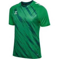 hummel hmlMATCH Triumph Fußballtrikot 6439 - jelly bean/botanical garden L