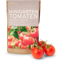 Tchibo - Minigarten in der Papiertüte - mehrfarbig