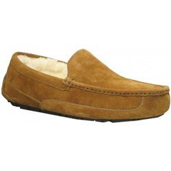 UGG ASCOT Slipper 2026 chestnut - 41