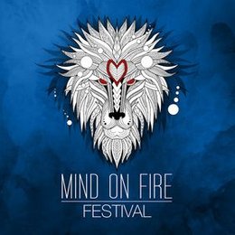 Mind on Fire in Schlitz