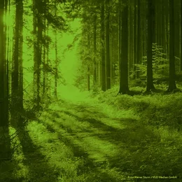 Schwarzwald Musikfestival in St. Blasien