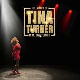 The Magic of Tina Turner in Lörrach