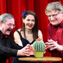 Die Kaktusblüte in Neustadt