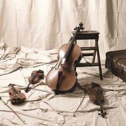 Privatmusikverein Nürnberg - Konzerte in Nürnberg