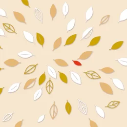 Kammerakademie Potsdam in Potsdam