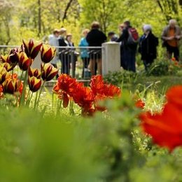 Stadtführung Bad Dürkheim in Bad Dürkheim