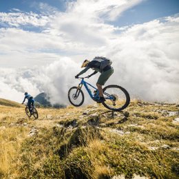 Harald Philipp in Reutlingen