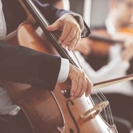 Neubrandenburger Philharmonie in Dresden