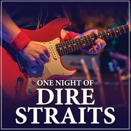 One Night of Dire Straits in Ibbenbüren