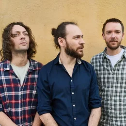 Mammal Hands in Dresden