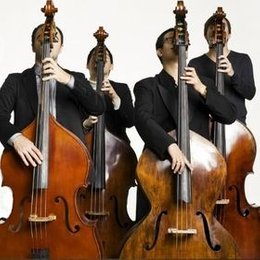 Bassiona Amorosa in Potsdam