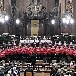 Mainzer Domchor in Mainz