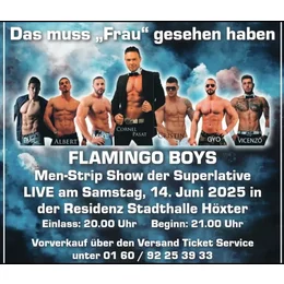 Flamingo Boys Men Strip in Goslar Bassgeige