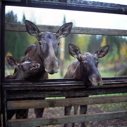 UnRuhestand in Storkow