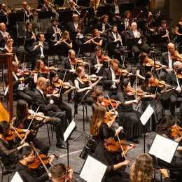 Neue Philharmonie Westfalen in Pulheim