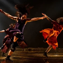 Compagnie Hervé Koubi in Offenburg