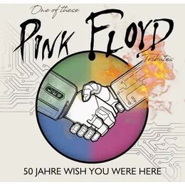 One Of These Pink Floyd Tributes in Büdingen