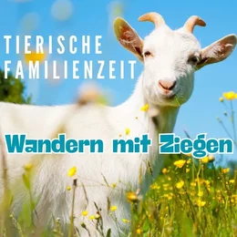 Ziegenwanderung in Zingst in Zingst