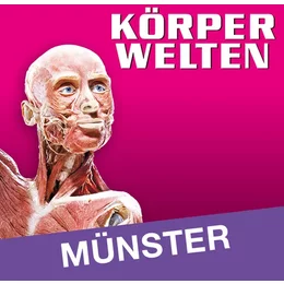 KÖRPERWELTEN Münster in Münster