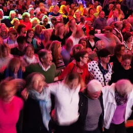 Comedy & Konzerte auf der Landesgartenschau Neuss in Neuss