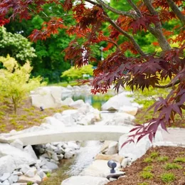 Führungen in Bad Krozingen in Bad Krozingen