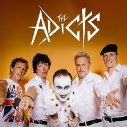 The Adicts in Wiesbaden
