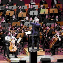 The Young ClassX in Hamburg