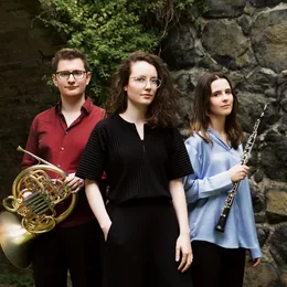 Kammerkonzerte im Bürgerhaus Telgte in Telgte