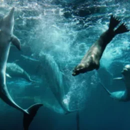 Artenschutz für die Zukunft - Tiergarten Nürnberg in Nürnberg