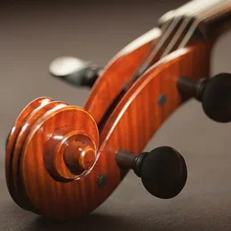 Hochschule für Musik Freiburg in Freiburg