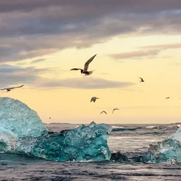 Die Welt im Sucher in Leipzig