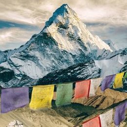 Pascal Violo in Heidelberg