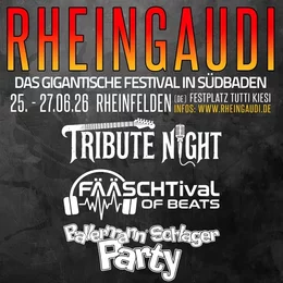 RheinGaudi Festival in Rheinfelden